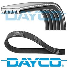GENUINE DAYCO 5 RIBS 950MM