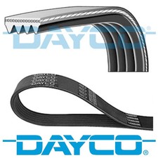GENUINE DAYCO 4 RIBS 954MM